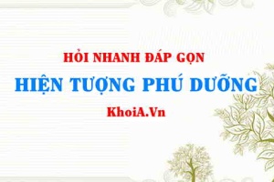Hiện tượng phú dưỡng là gì, nguyên nhân của hiện tượng phú dưỡng? Hỏi đáp môn Hóa